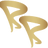 Rang Roop logo